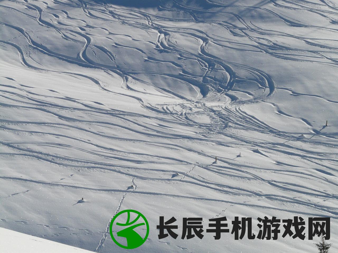 (湿雪和干雪的特点及区别详解图)湿雪和干雪的特点及区别详解